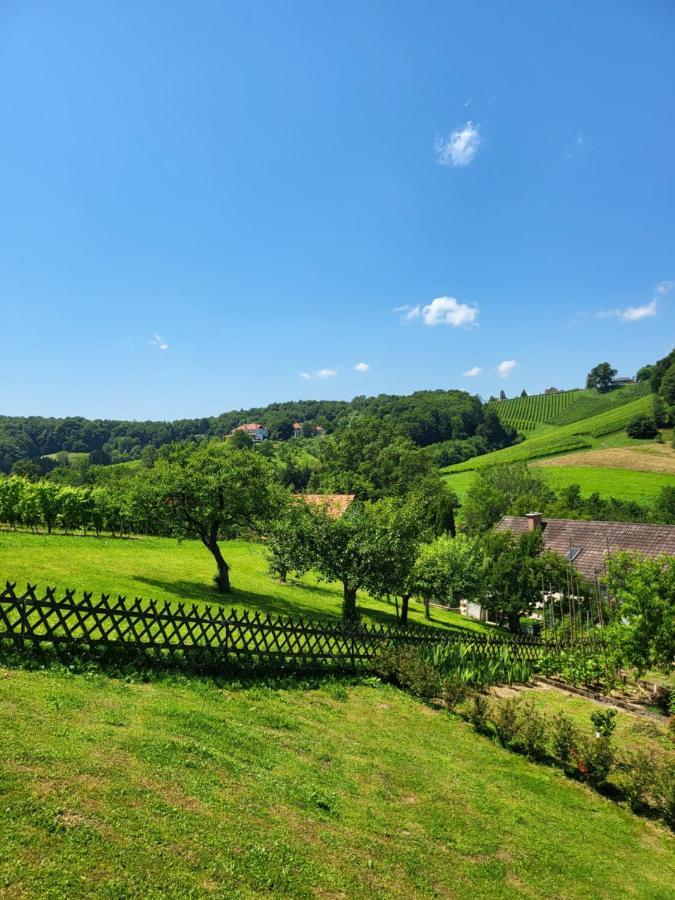 Ferienhaus Zangl Am Seggauberg - Suedsteiermark Leibnitz Eksteriør billede
