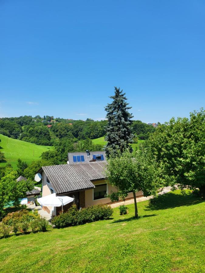Ferienhaus Zangl Am Seggauberg - Suedsteiermark Leibnitz Eksteriør billede