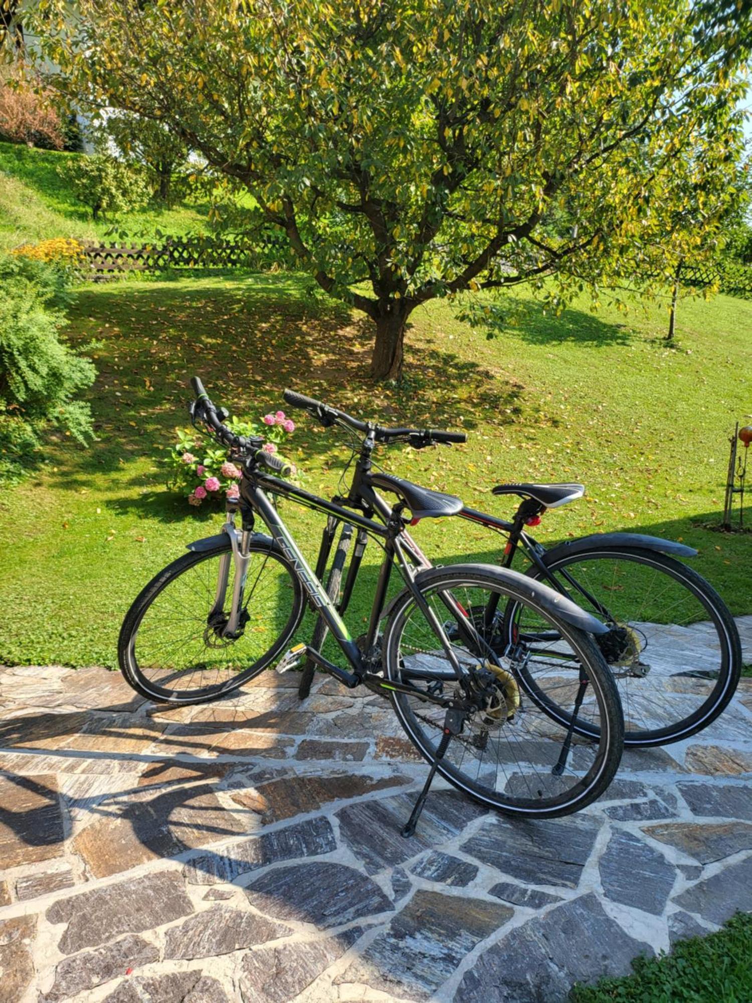Ferienhaus Zangl Am Seggauberg - Suedsteiermark Leibnitz Eksteriør billede